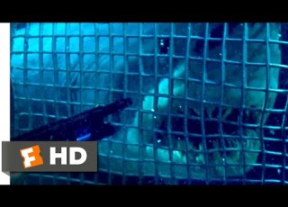 Deep Blue Sea 1999 Smart Sharks Scene 2 10 Movieclips