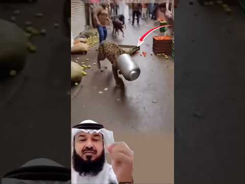 بعض المشاهد تجعلك تقف صامت ا لا تعرف كيف تفسر ما رأيت اكسبلور لايك اقتباسات Animals Art بعض المشاهد تجعلك تقف صامت ا لا تعرف كيف تفسر ما رأيت اكسبلور لايك اقتباسات Animals Art