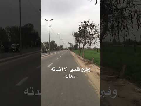 وفين قلبى الا خدته معاك