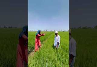 انتى بنت الأصول والله مفش احسن من الصلاة صلاة الجمعة