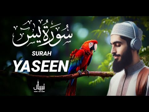 سورة يس كاملة تلاوة رائعة تريح القلوب للقارئ أشرف حسين سورة يس كاملة تلاوة رائعة تريح القلوب للقارئ أشرف حسين