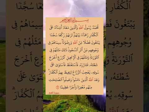 محمد الرسول الله والذين معه اشداء علي الكفار الشيخ سعد الغامدي Youtubeshorts محمد الرسول الله والذين معه اشداء علي الكفار الشيخ سعد الغامدي Youtubeshorts