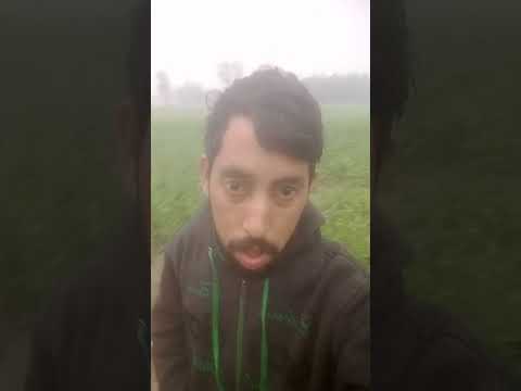 Dilserestkayroj Sotbidevo Majedr