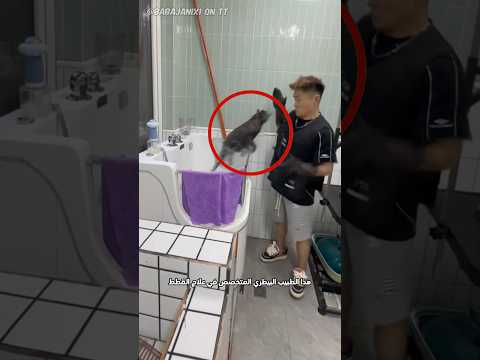 يوم في حياة طبيب بيطري