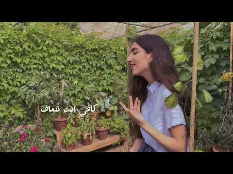 Serly Simonian Cover حبهم شوية شوية هالة القصير احمد الاسطى Serly Simonian Cover حبهم شوية شوية هالة القصير احمد الاسطى