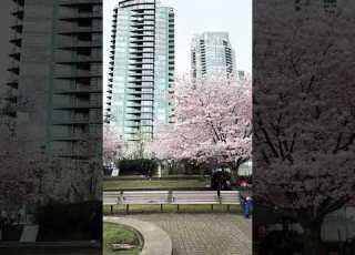  March 27 2026