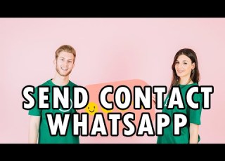 How To Send Contact On WhatsApp