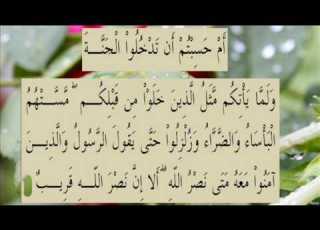 القران الكريم سورة البقرة الاية 214