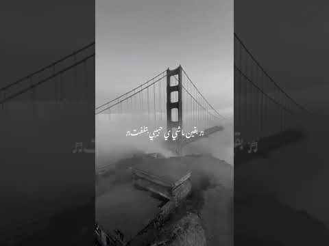 محمود العسيلي لفت دماغي لفت بقيت ماشي يا حبيبي بتلفت همومي خفت وايدي جت في ايديك فا ادفت محمود العسيلي لفت دماغي لفت بقيت ماشي يا حبيبي بتلفت همومي خفت وايدي جت في ايديك فا ادفت