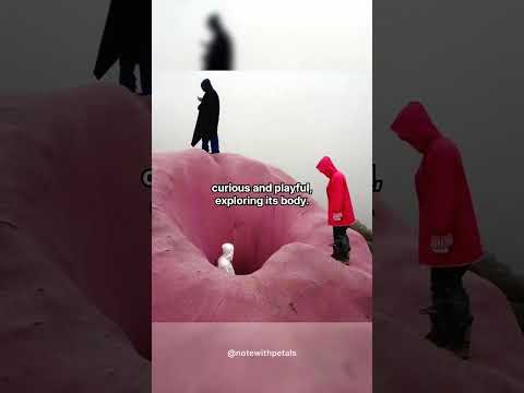 The Giant Pink Rabbit Of Colletto Fava Arthistory