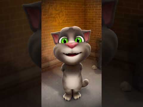 Lado Kya Kr Rhi Ho Lado Laado Ladoo Atulnikki Virl Youtube Lado Kya Kr Rhi Ho Lado Laado Ladoo Atulnikki Virl Youtube