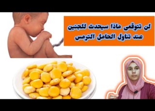 لن تتخيلى ماذا سيحدث للجنين عند تناول الحامل الترمس خلال شهور الحمل هل يضر الجنين