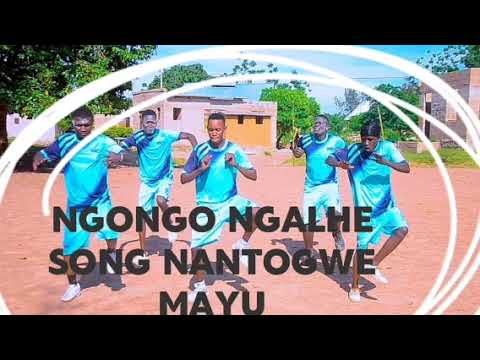 NGONGO NGALHE SONG NANTOGWE MAYU OFFICIAL AUDIO MSAMBAZAJI NDATULU NGONGO NGALHE SONG NANTOGWE MAYU OFFICIAL AUDIO MSAMBAZAJI NDATULU