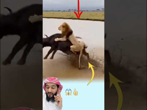 كلما لاحت ملامح الغياب سبقنا لطف الله بسكينة ت طمئن القلب Shorts Shortvideo