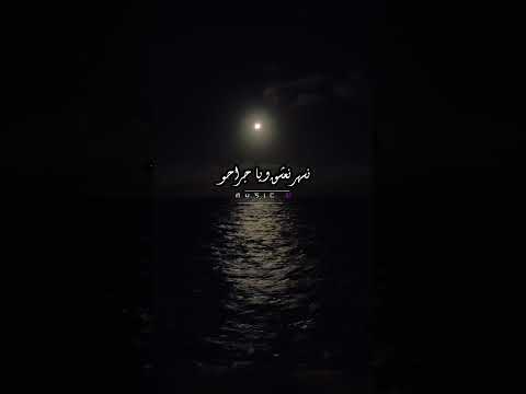 ذكريات كدابة تامر عاشور