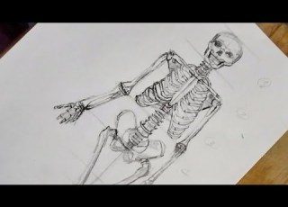 رسم الهيكل العظمي لجسم الإنسان خطوة بخطوة تعلم رسم جسم الإنسان للمبتدئين بطريقة سهلة