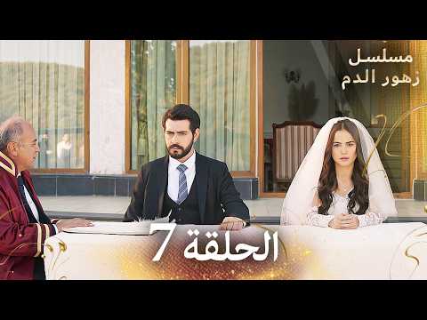الحلقة 7 مسلسل زهور الدم مدبلج بالعربية Kan Çiçekleri الجزء الاول