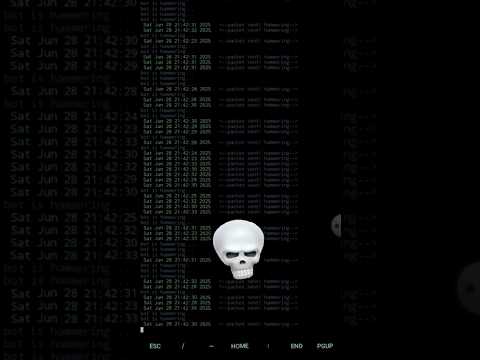 DDOs Attack Tools Video Hack Ddos Cybersecurity Like Shortvideo