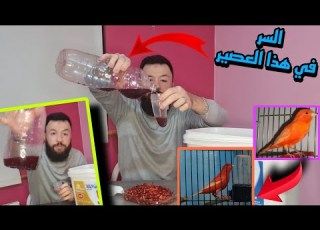  كيف تحصل ع لون احمر قاتم صبغة طبيعية بمكونين فقط البديل عن الصبغات الكيماوية وفر نقودك