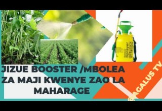 JINSI YA KUCHAGUA BOOSTER MBOLEA ZA MAJI KWENYE ZAO LA MAHARAGE