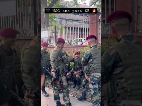 NSG Commando And Para SF Commando Shorts Military Commando Nsg Spg