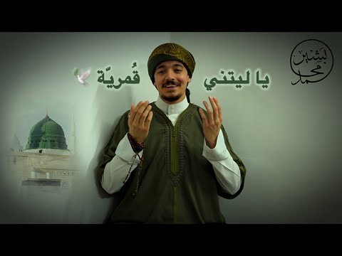 يا ليتني ق مري ة