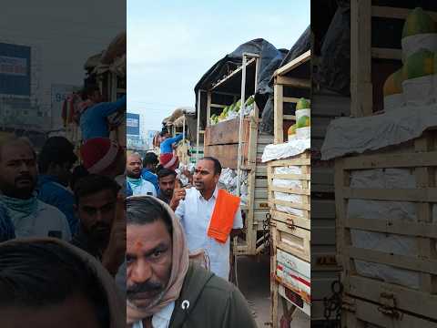 Today Papaya Price Shorts Papaya