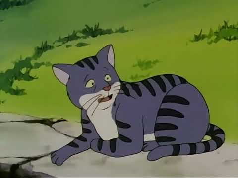 حكايات ما أحلاها جوقة الحيوانات