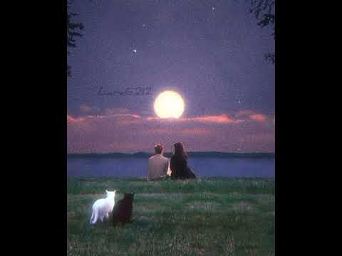 أحلفك بالمحبه محند عبد الجبار بدون موسيقى اكسبلور أحلفك بالمحبه محند عبد الجبار بدون موسيقى اكسبلور