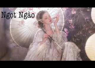  PHIÊN ÂM THUẦN VIỆT NGỌT NGÀO 甜蜜蜜 Đặng Lệ Quân 邓丽君