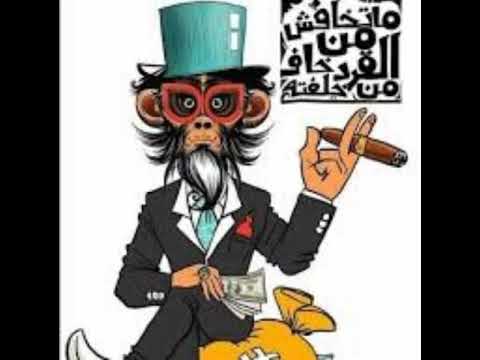 الكنج قاعد علي عروشه اجمد حاله واتس