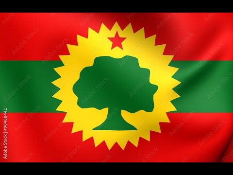 Ebbisa Addunya Hatti Dhiraa Hinbosi