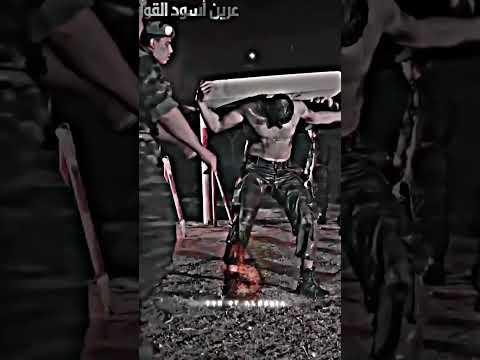 أسود القوات الخاصة الجزائرية