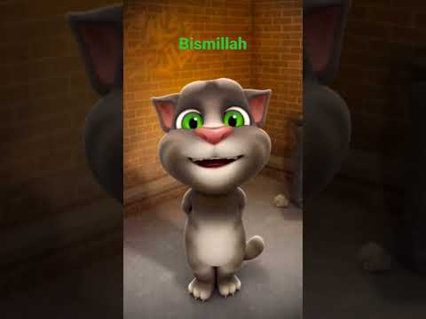 Bismillah Bismillah Islamic Song Short Video Bismillah Bismillah Islamic Song Short Video