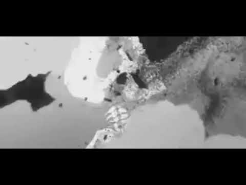 𝐓𝐢𝐦𝐦𝐲 𝐓𝐫𝐮𝐦𝐩𝐞𝐭 𝐅𝐫𝐞𝐚𝐤𝐬 𝐬𝐥𝐨𝐰𝐞𝐝