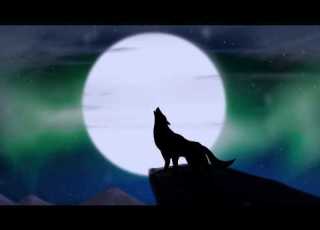 רוחמה בן יוסף רוקדת על חוט