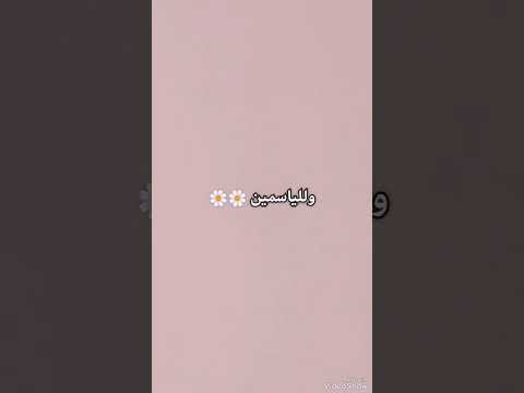 مندورة ع أيامك يا أميرة الحلوين اليسا يا عروسة أحلامي