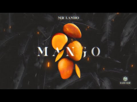 Mr Lambo Mango Official Video