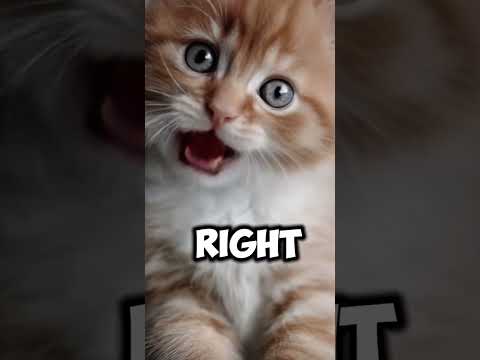 Motivation Facts Motivacion Crecimientopersonal