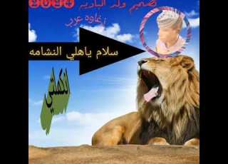 زغاوه عرب احفاد الزبير ابن العوام الغريشيه الشاعر هارون ولدالباديه