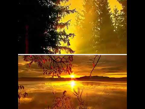 Oromoo Music Shamshudin Yusufa