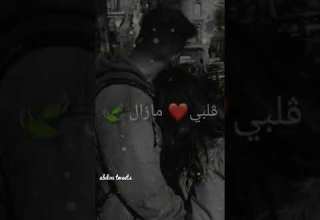 دوا قع كليته