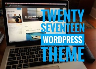  Using The Twenty Seventeen WordPress Theme