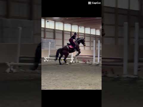 Thank You Z For Saving Us From My Horrific Distances Today