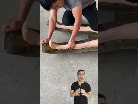 العروسه السيليكون Automobile Craft اكسبلور Diy ديكورات Handmade Perfume Agro Bollywood