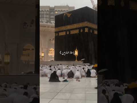 يا ملاذ الهاربين يا الله الدعاء تلاوة خاشعة دعاء اكسبلور رمضان الحرم المكي رمضان كريم يا ملاذ الهاربين يا الله الدعاء تلاوة خاشعة دعاء اكسبلور رمضان الحرم المكي رمضان كريم