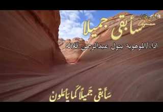 سأبقى جميلا من روائع الفنان أمين حاميم بصوتي ارجواأن تنال إعجابكم