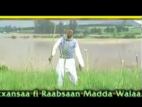 Urgessa Gabissa Hadhaa Mashiini Oromo Music