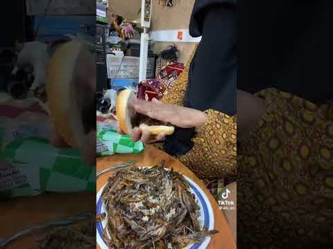 جراد السعوديه Wow ترند السعودية وناسه وضحك