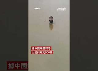 中國廣西洪水 近千條養殖蛇出逃 BBC News 中文
